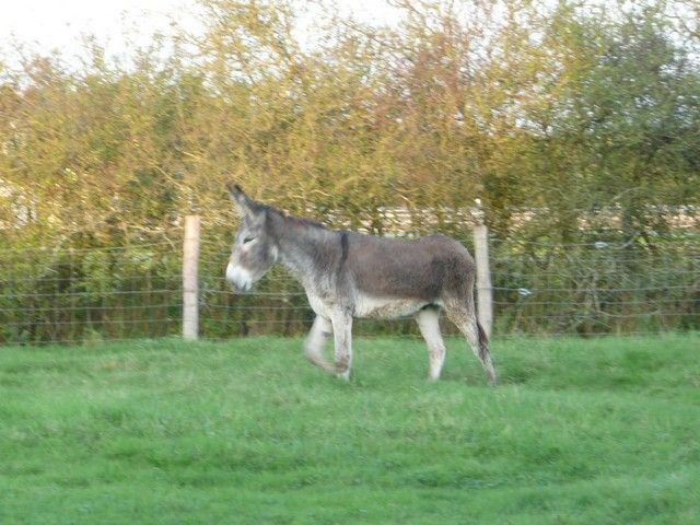 Balthazar et leonard Arrivee (33).jpg